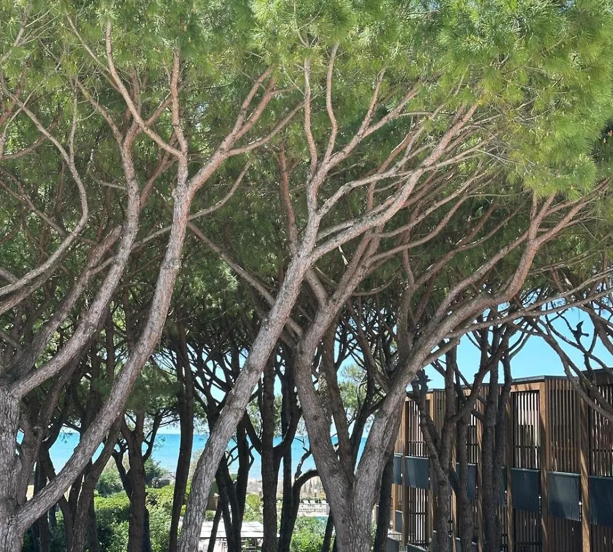 Hotel Gallia&Resort Lido di Jesolo